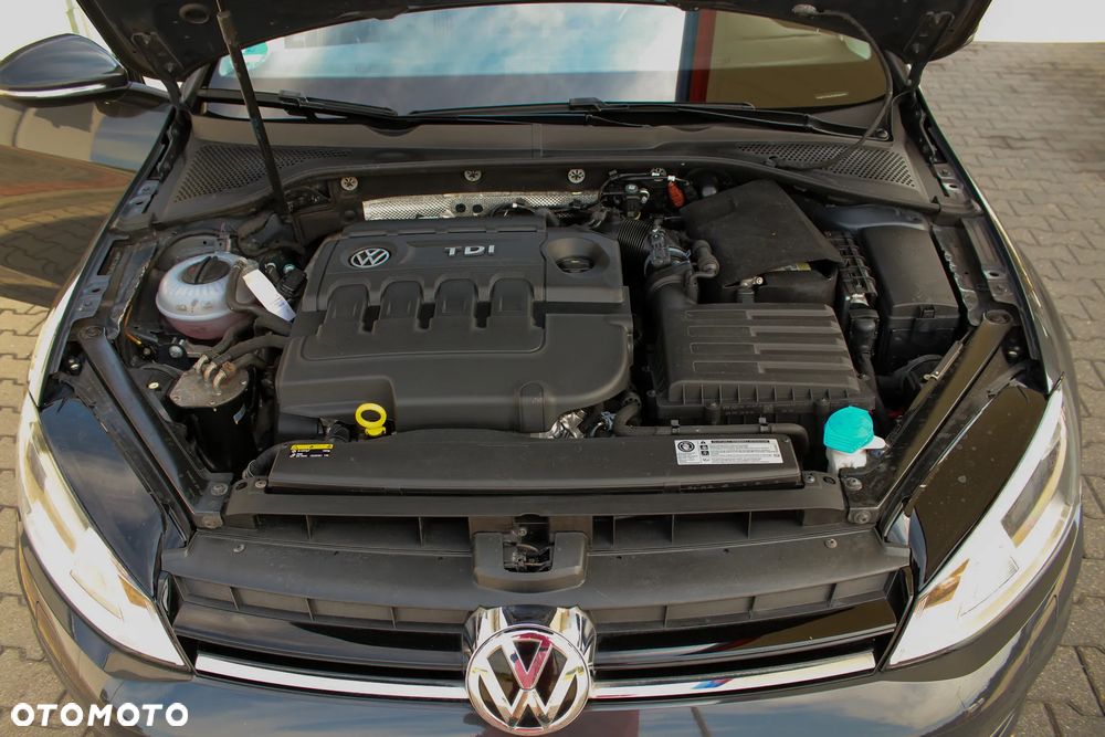 Volkswagen Golf 1.6 TDI BlueMotion Technology Allstar - 40