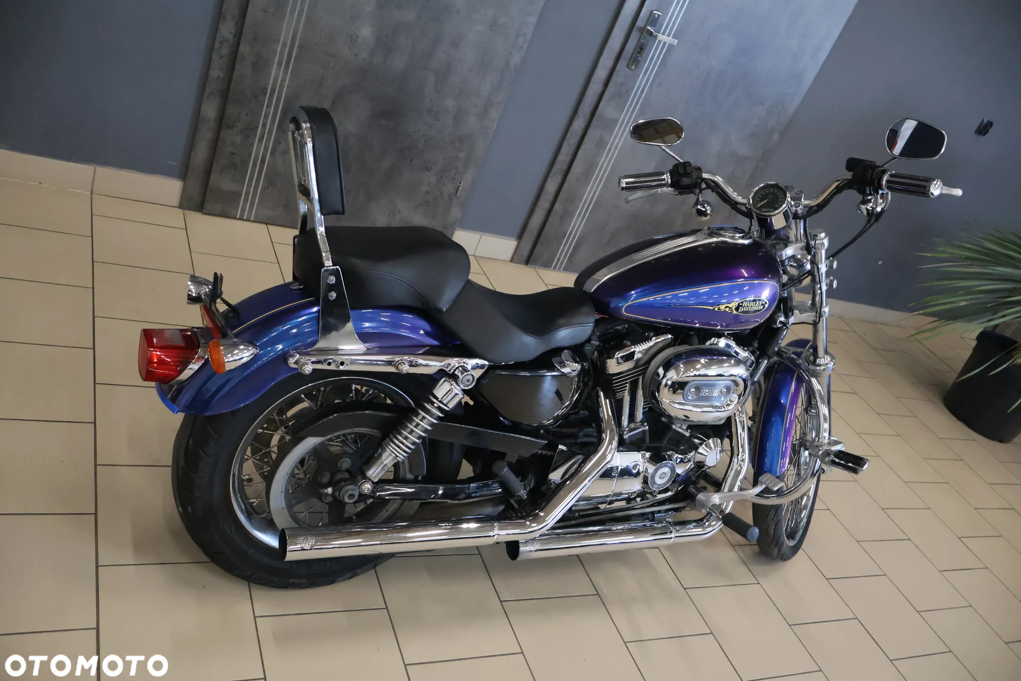 Harley-Davidson Sportster Custom 1200C - 3