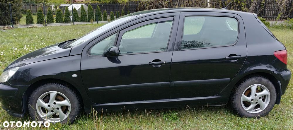 Peugeot 307 1.6 XS - 2