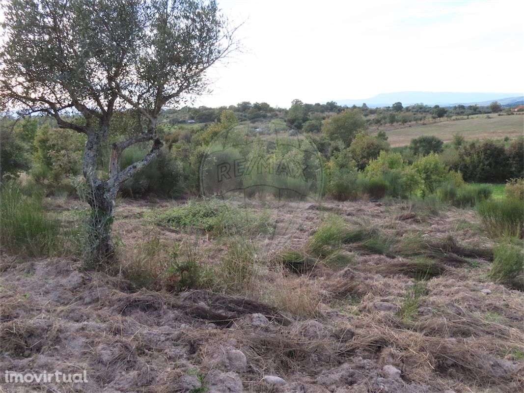 Quinta T0 para venda - Grande imagem: 4/26