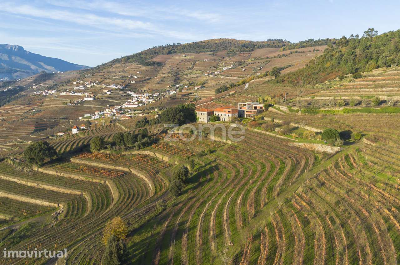 Quinta em Mesão Frio (UNESCO) com 6,6ha - Grande imagem: 4/42
