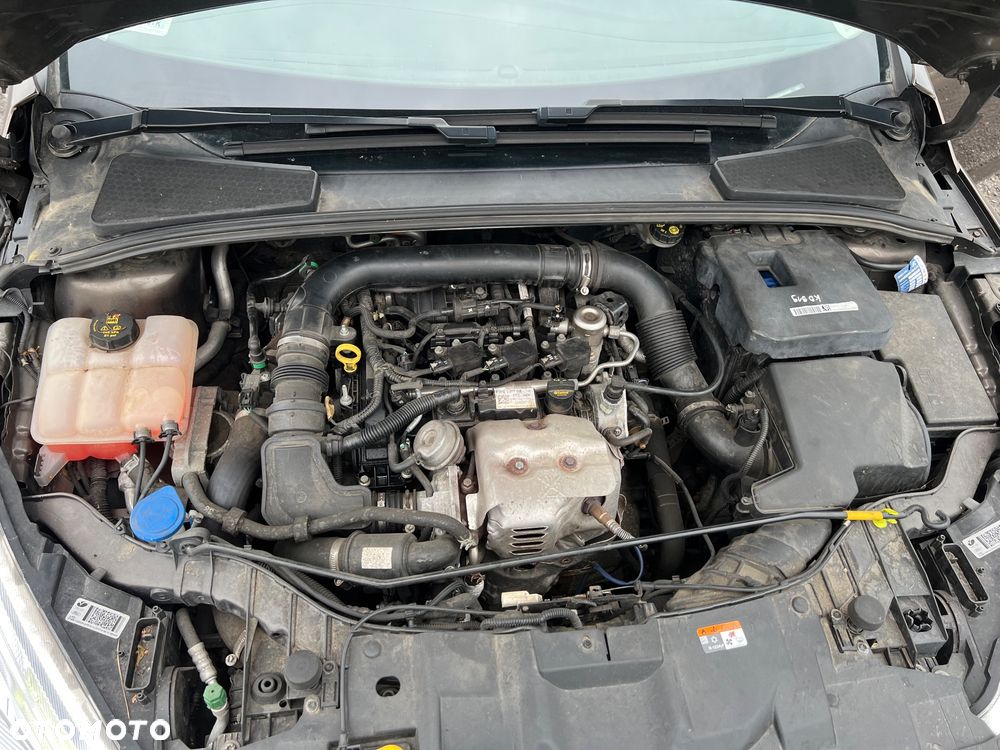 Ford Focus 1.0 EcoBoost Titanium ASS - 17