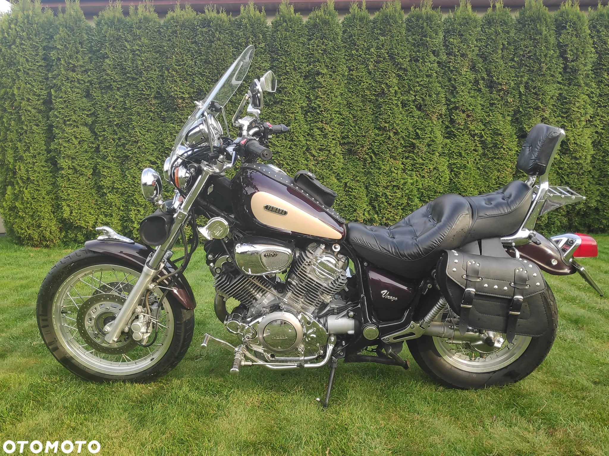 Yamaha Virago - 22