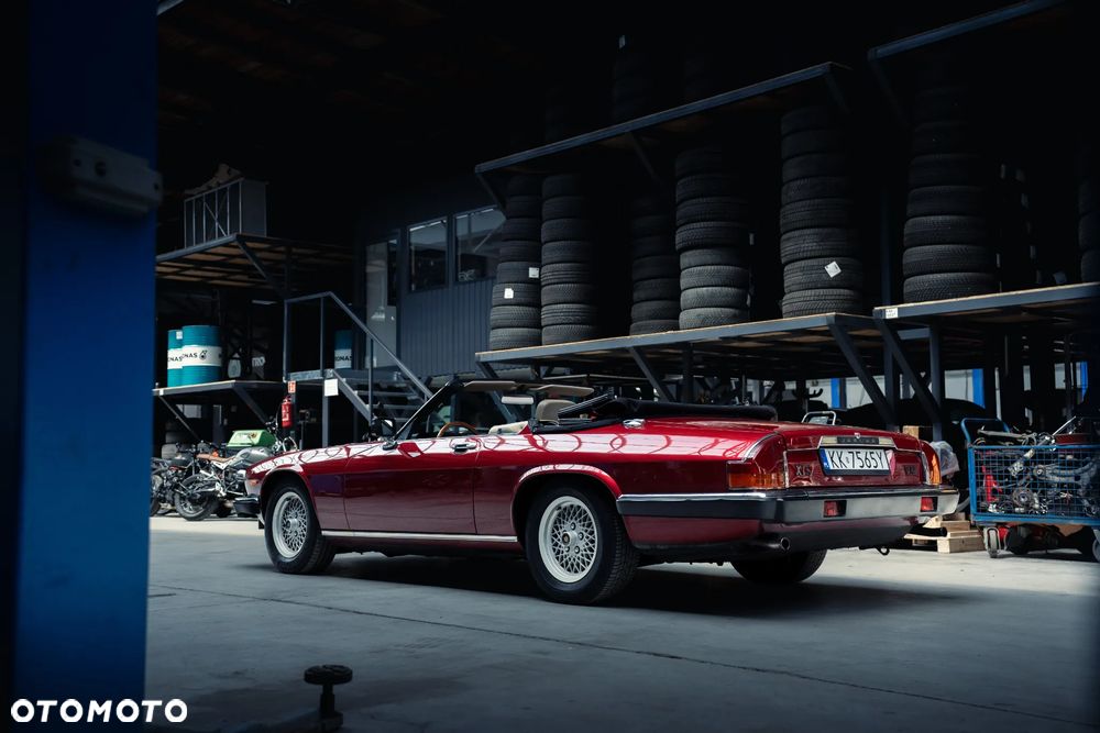 Jaguar XJS - 18