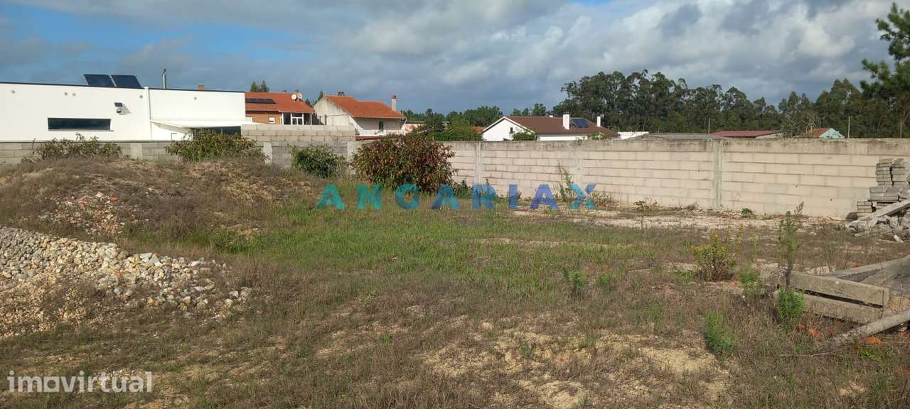ANG1247 - Terreno para Venda em Vieira de Leiria - Grande imagem: 3/4