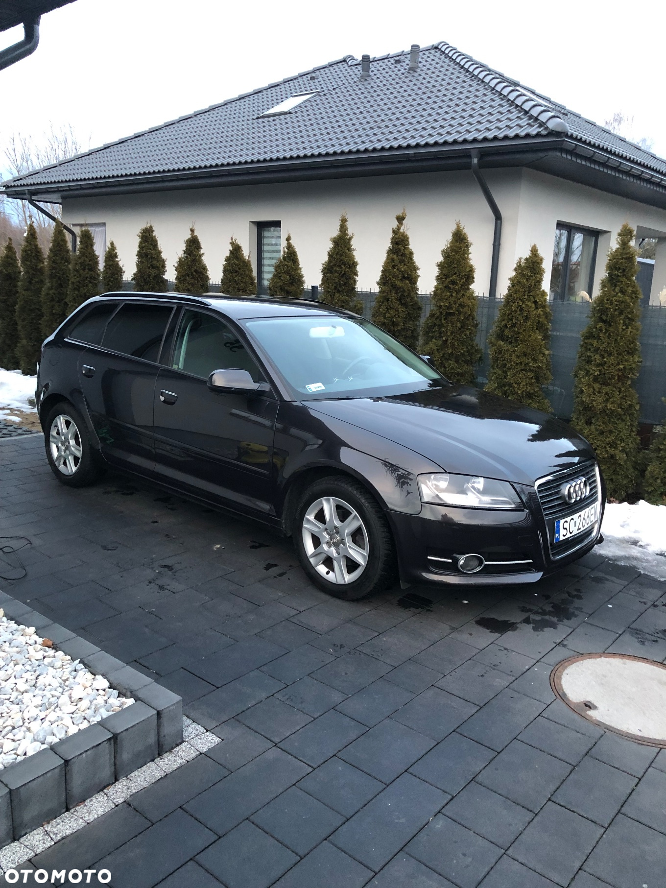 Audi A3 1.6 TDI Sportback S line Sportpaket - 8