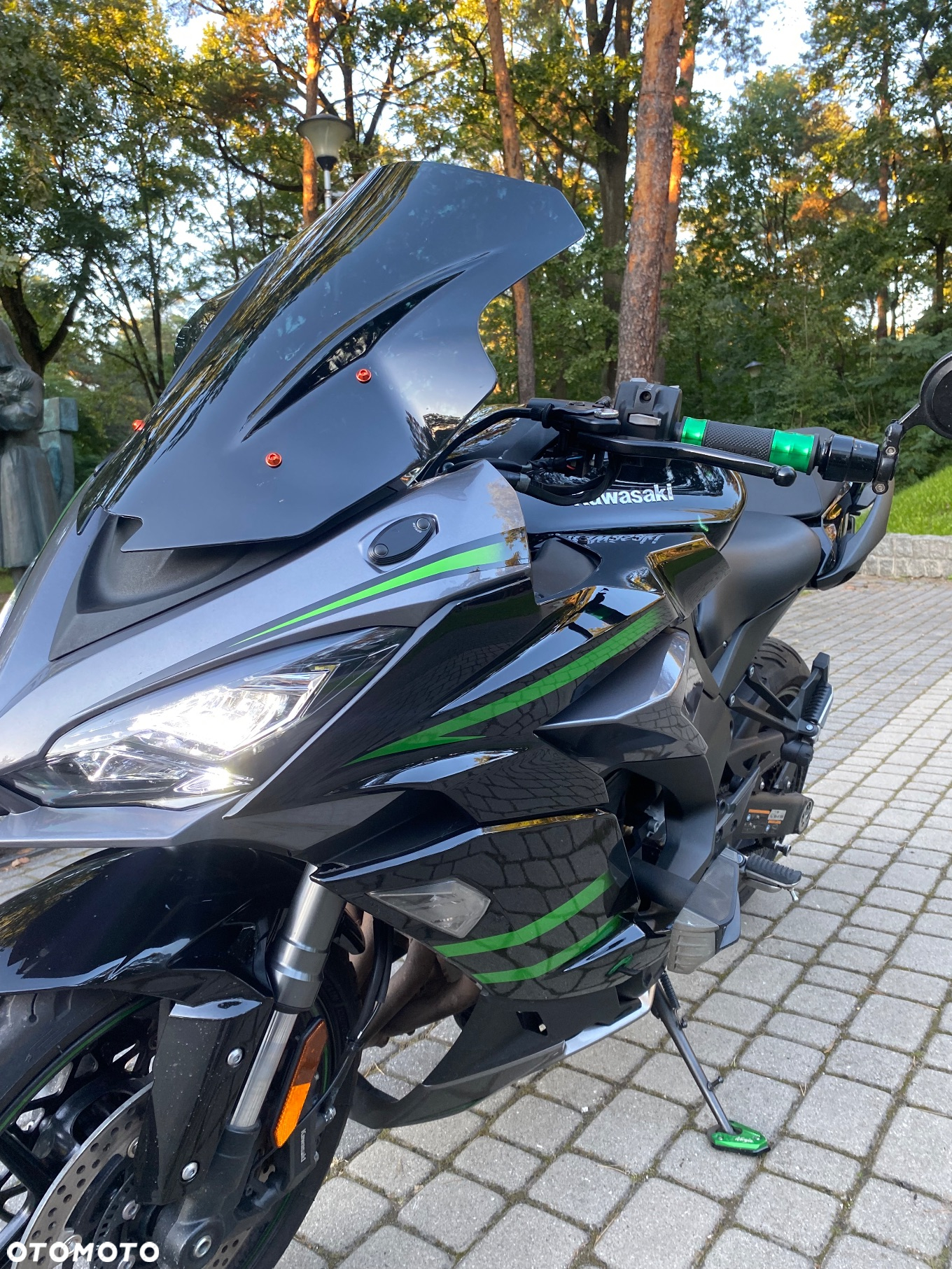Kawasaki Ninja 1000 SX - 5
