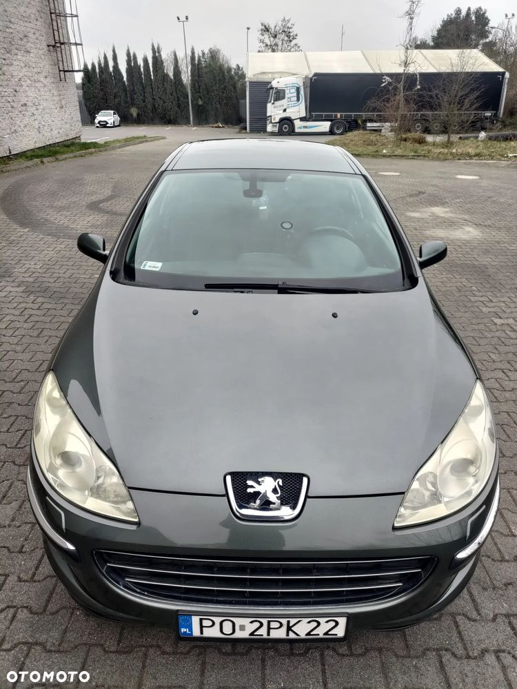 Peugeot 407 2.0 HDI Premium Grand Prix - 8