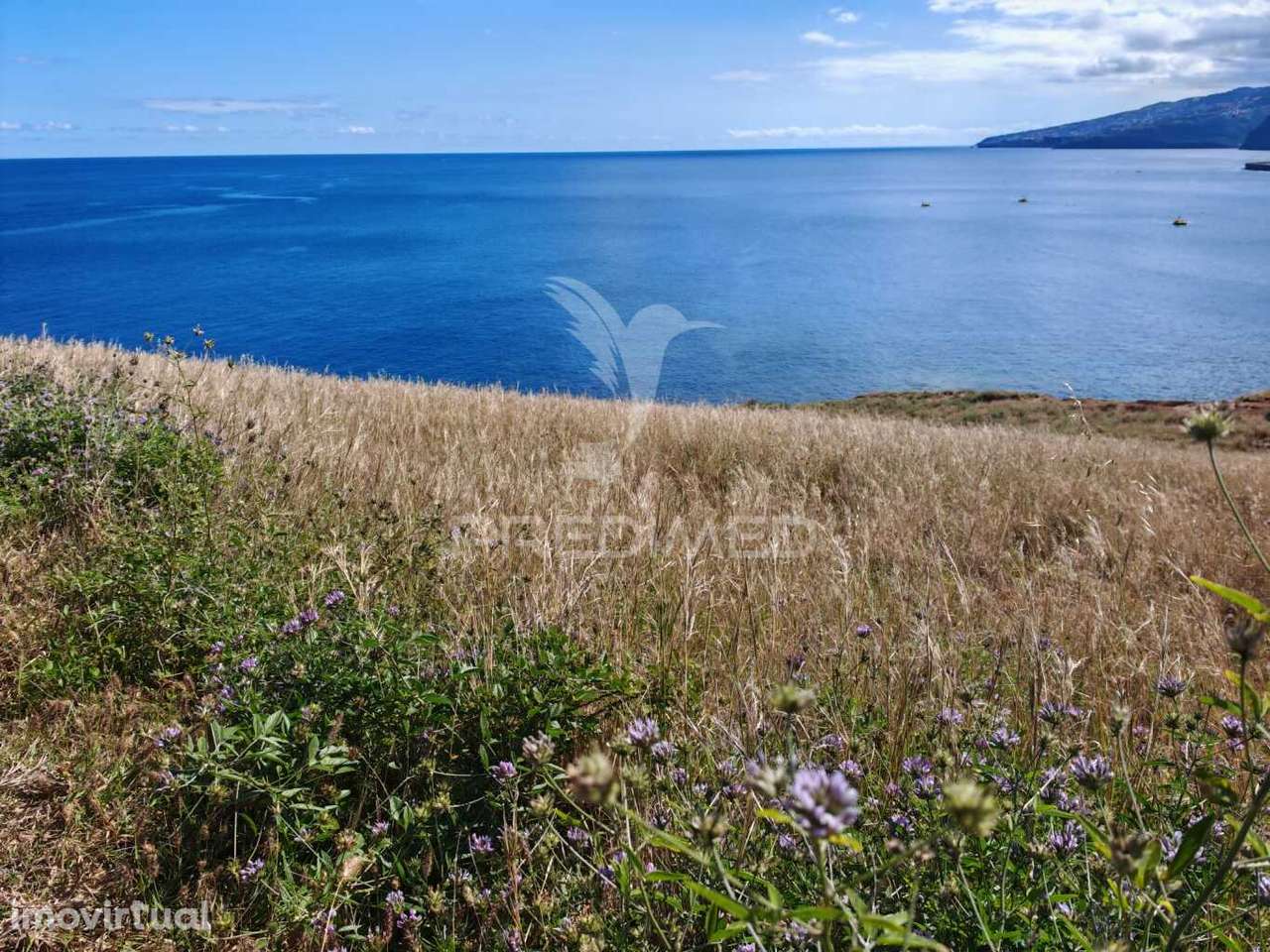 Terreno Com Vista Mar Na Prestigiada Zona da Rochinha, Caniçal - Grande imagem: 4/12