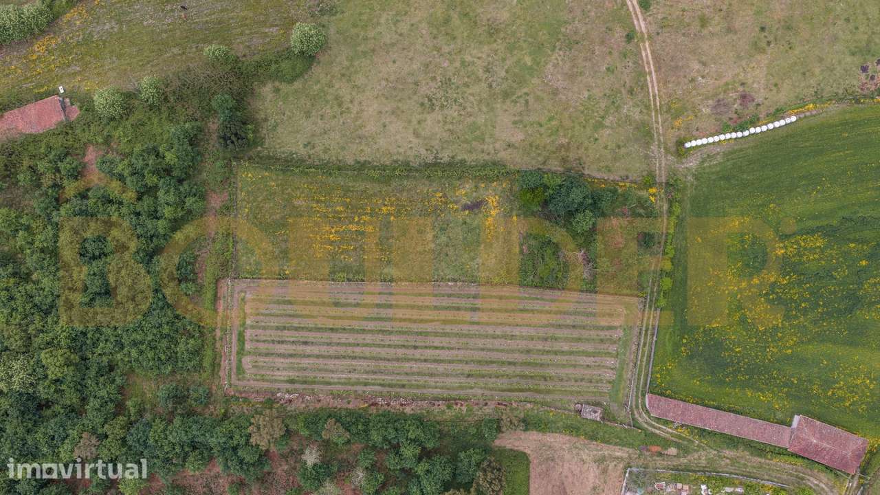 Terreno agrícola em Monsul - Grande imagem: 5/11