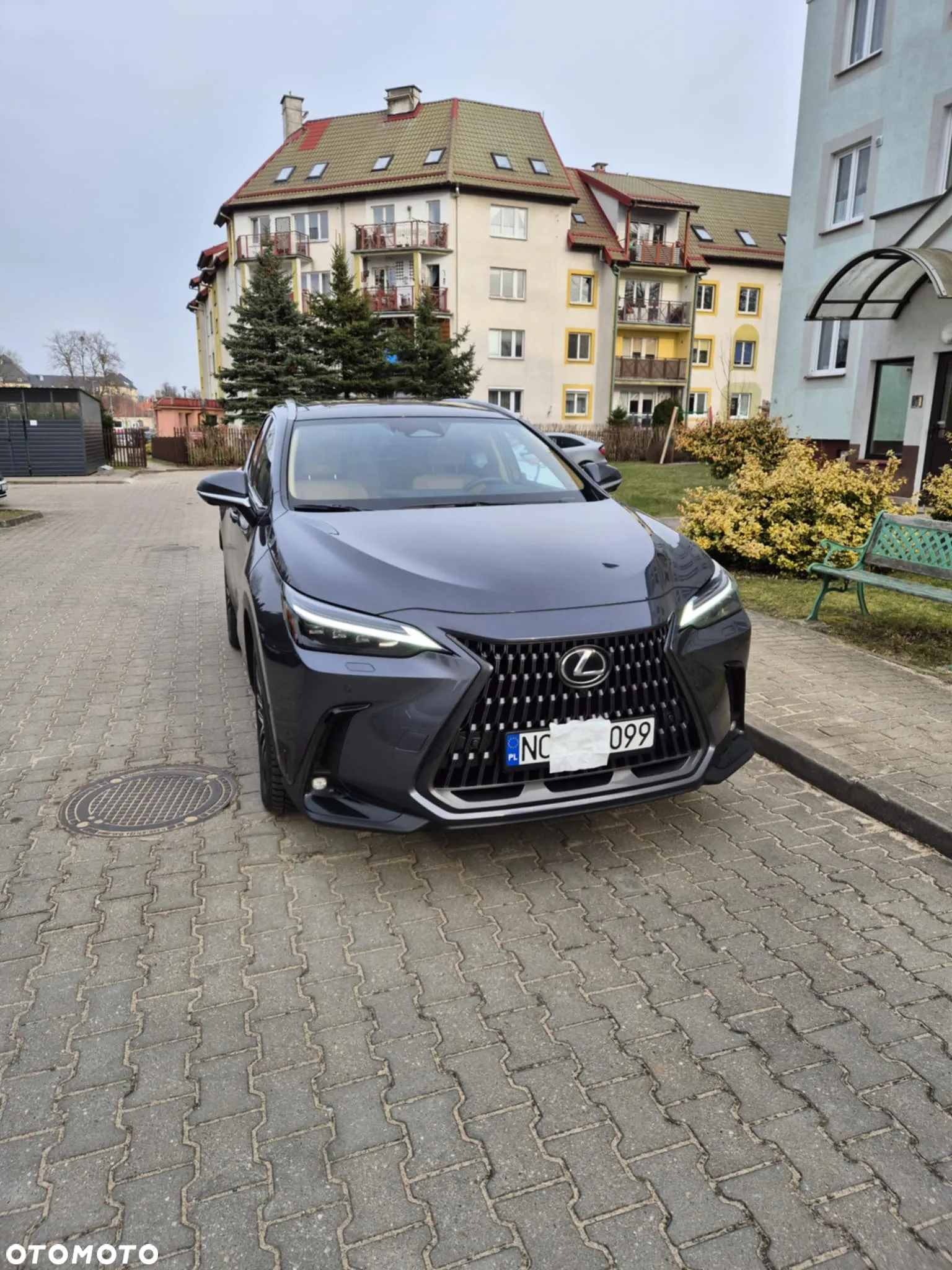 Lexus NX - 7