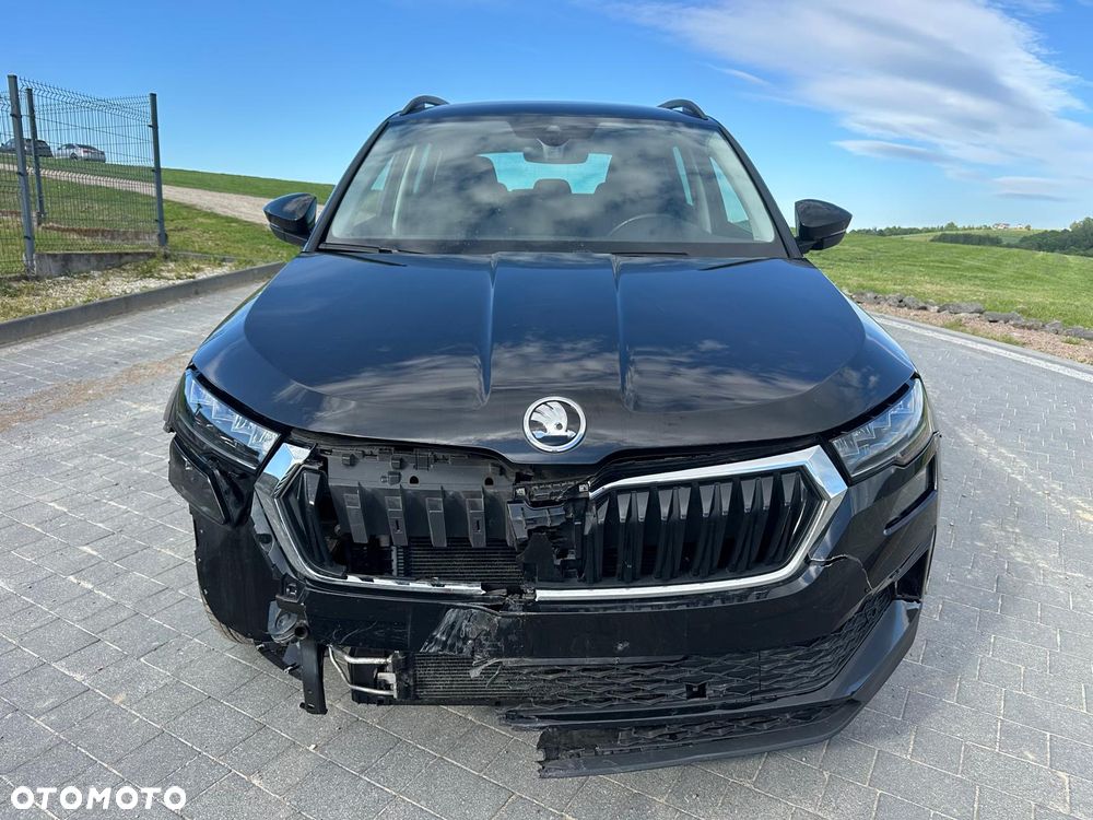 Skoda Karoq - 2