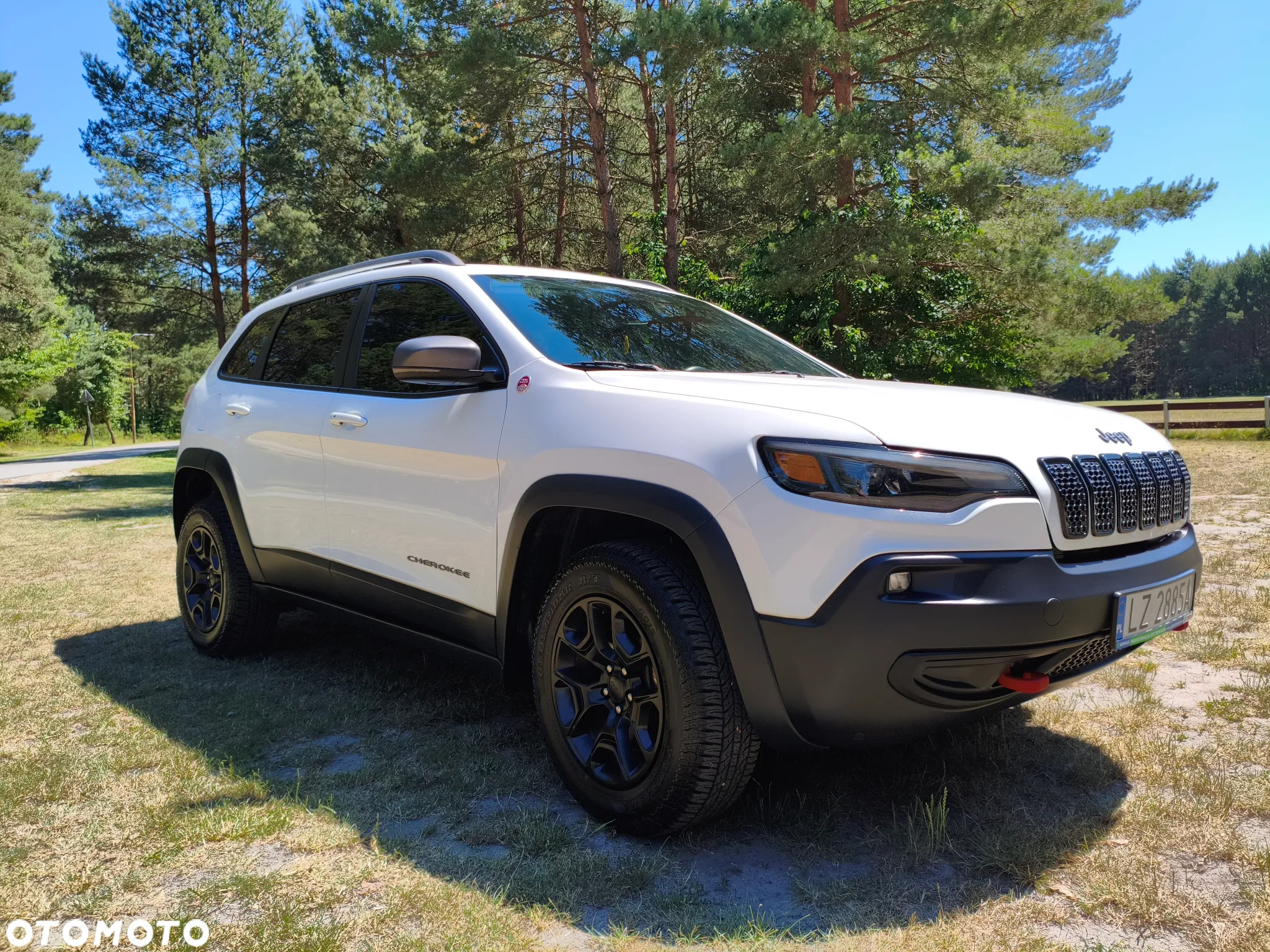 Jeep Cherokee 3.2 V6 Pentastar Active Drive Lock Autom Trailhawk - 14