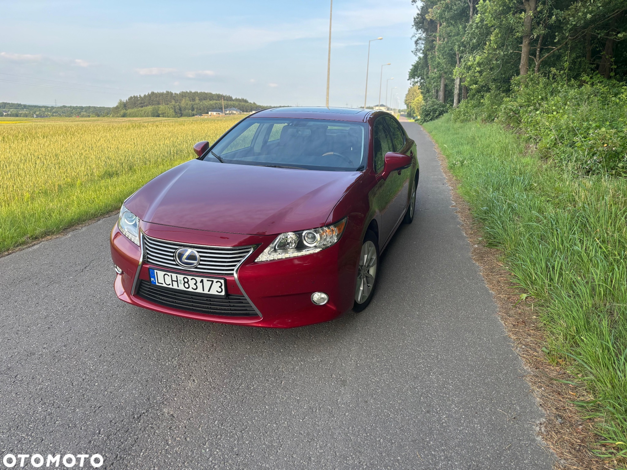 Lexus ES 300h Business Line - 2