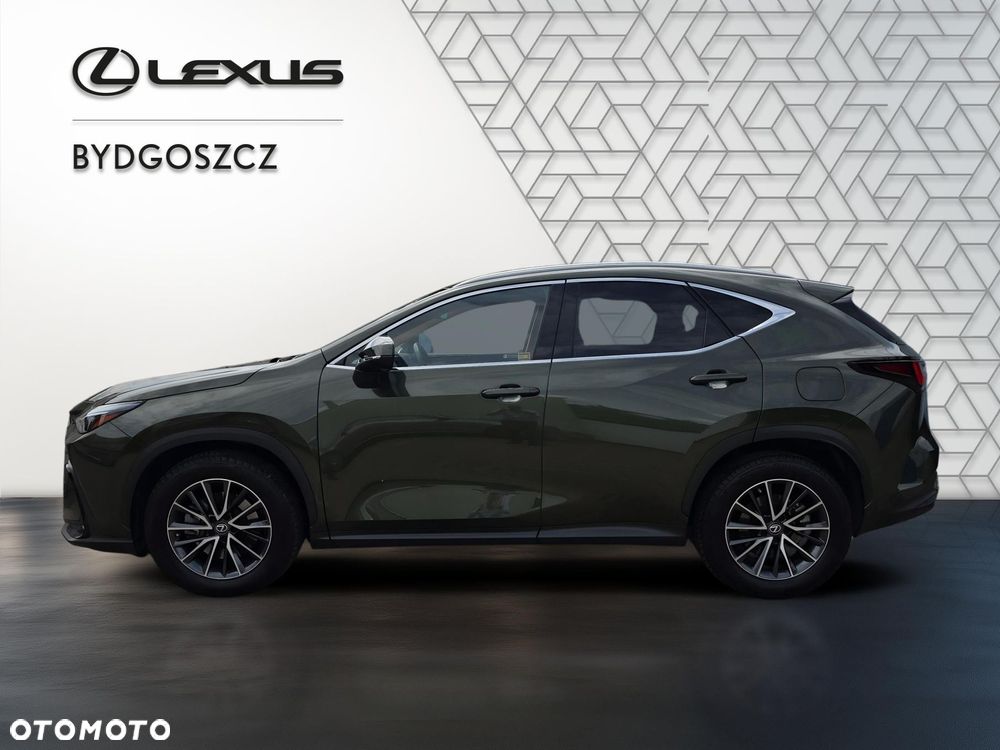 Lexus NX - 7