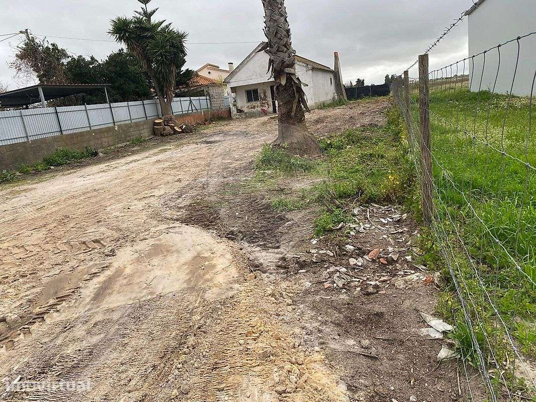 Quinta  para venda - Grande imagem: 4/8