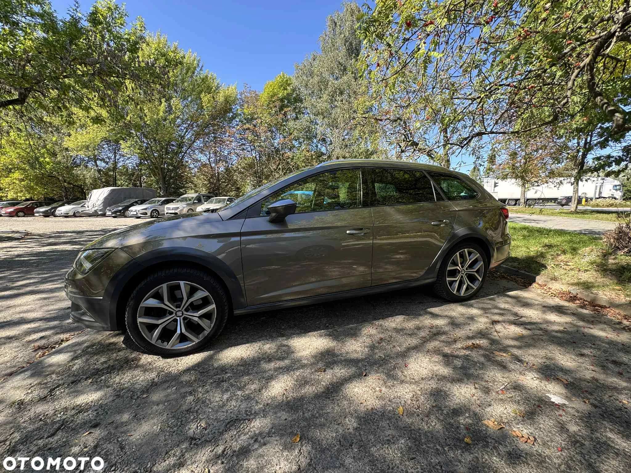 Seat Leon 2.0 TDI X-Perience S&S 4Drive DSG - 7