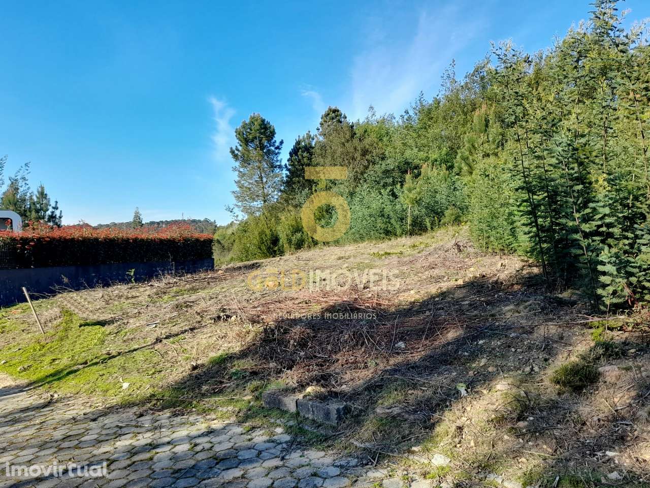 Lote de Terreno  Venda em Nogueira do Cravo e Pindelo,Oliveira de Azem - Grande imagem: 5/10