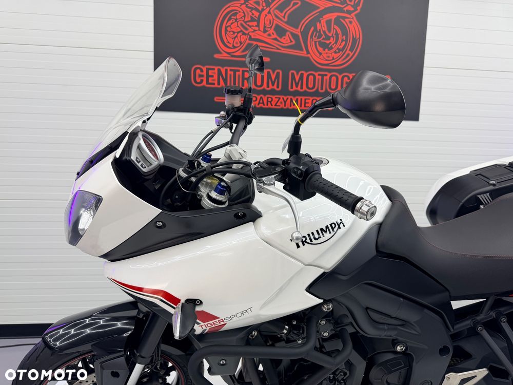 Triumph Tiger - 31
