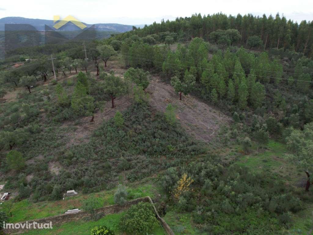 Terreno rústico de 1,76 hectares - Grande imagem: 5/7
