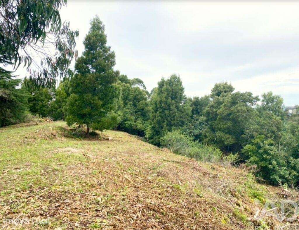 Terreno para construção em Sintra - Grande imagem: 5/12