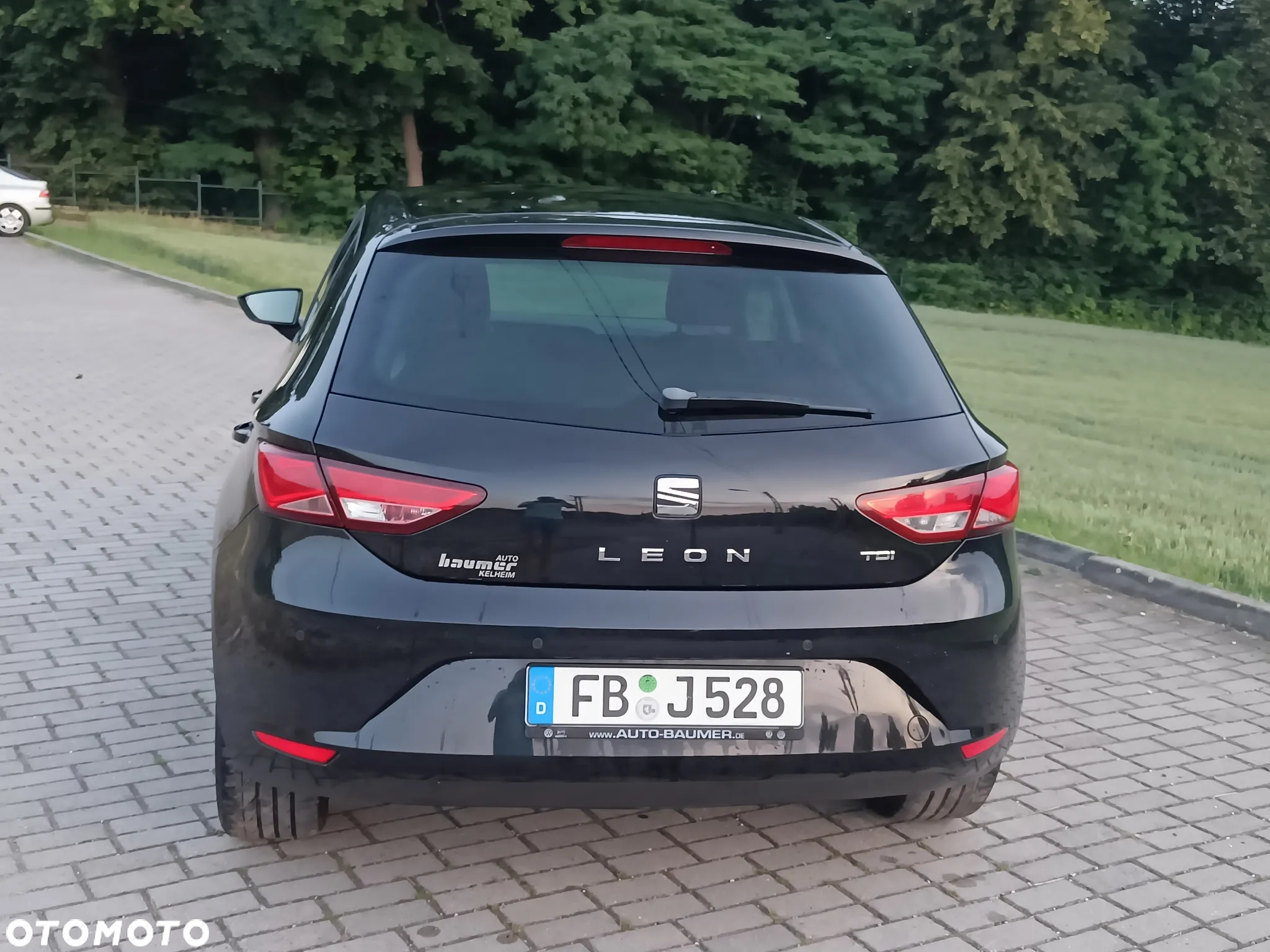 Seat Leon - 29