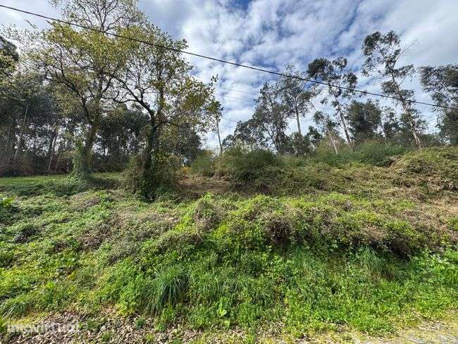 Excelente oportunidade de investimento em Vila Verde e Barbudo! - Grande imagem: 4/7