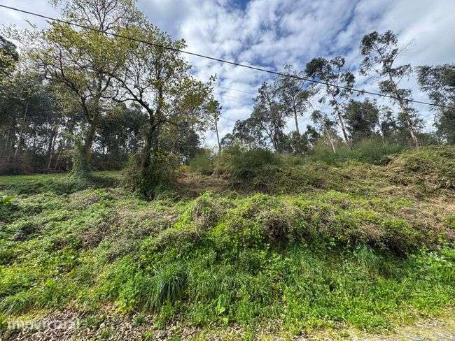Excelente oportunidade de investimento em Vila Verde e Barbudo! - Grande imagem: 4/7