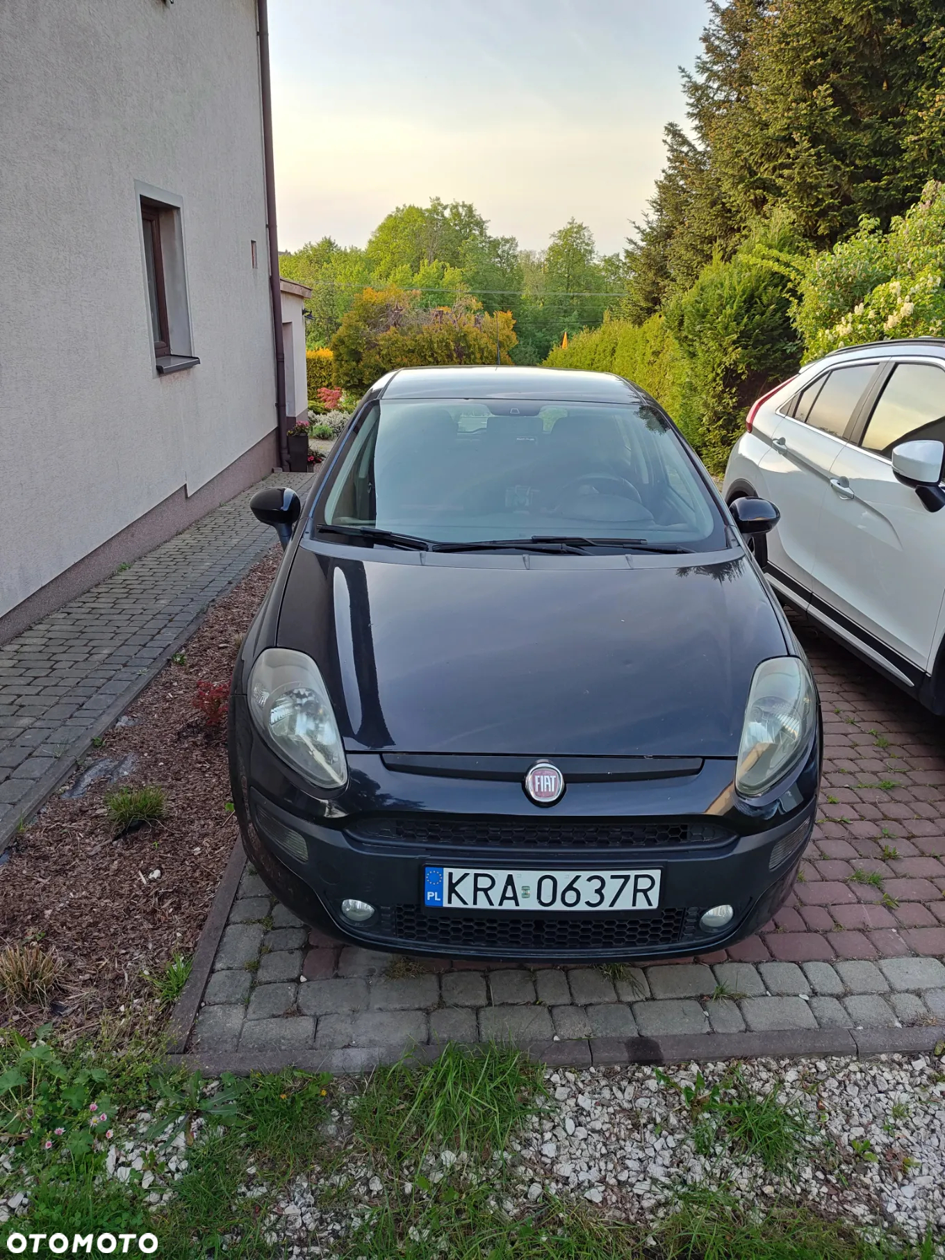 Fiat Punto Evo 1.4 8V Estiva Blue&Me Euro5 - 8