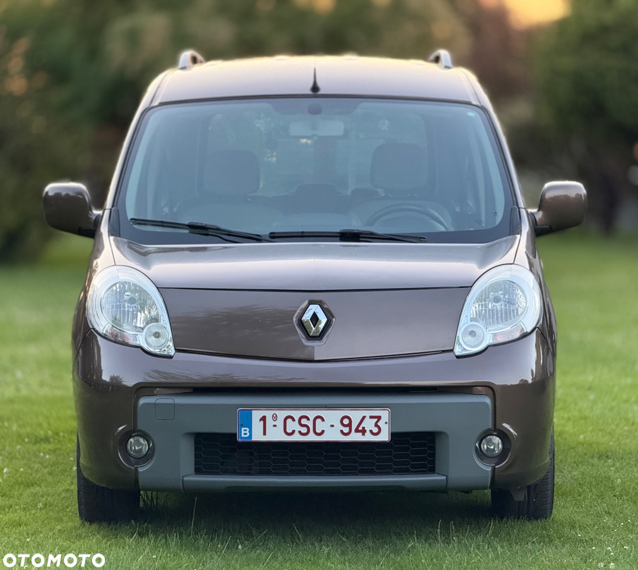Renault Kangoo - 4