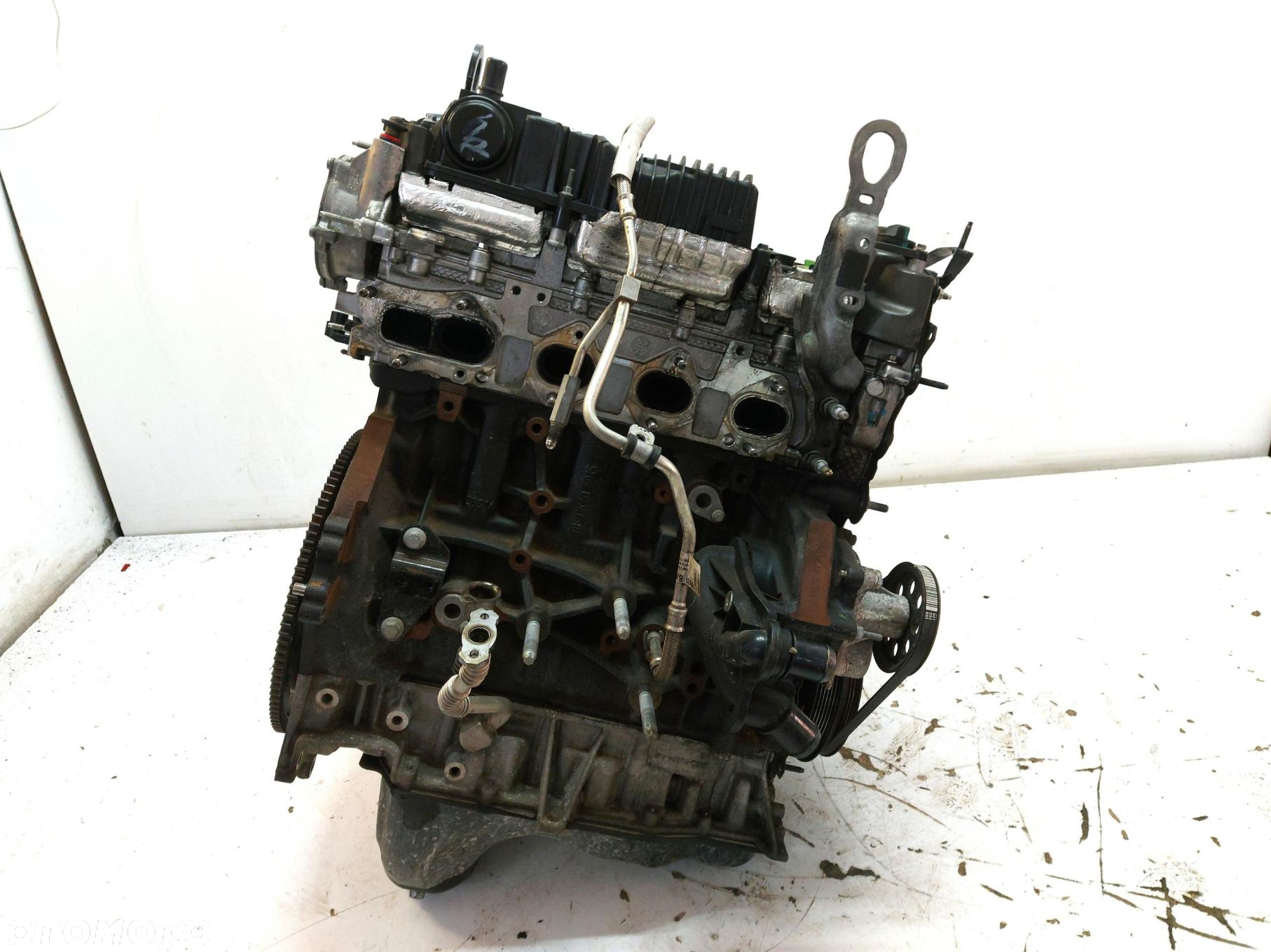 Ford Ranger VI 6 2024r silnik motor engine 2.0 tdci wtryski YN2X 17tyś - 5