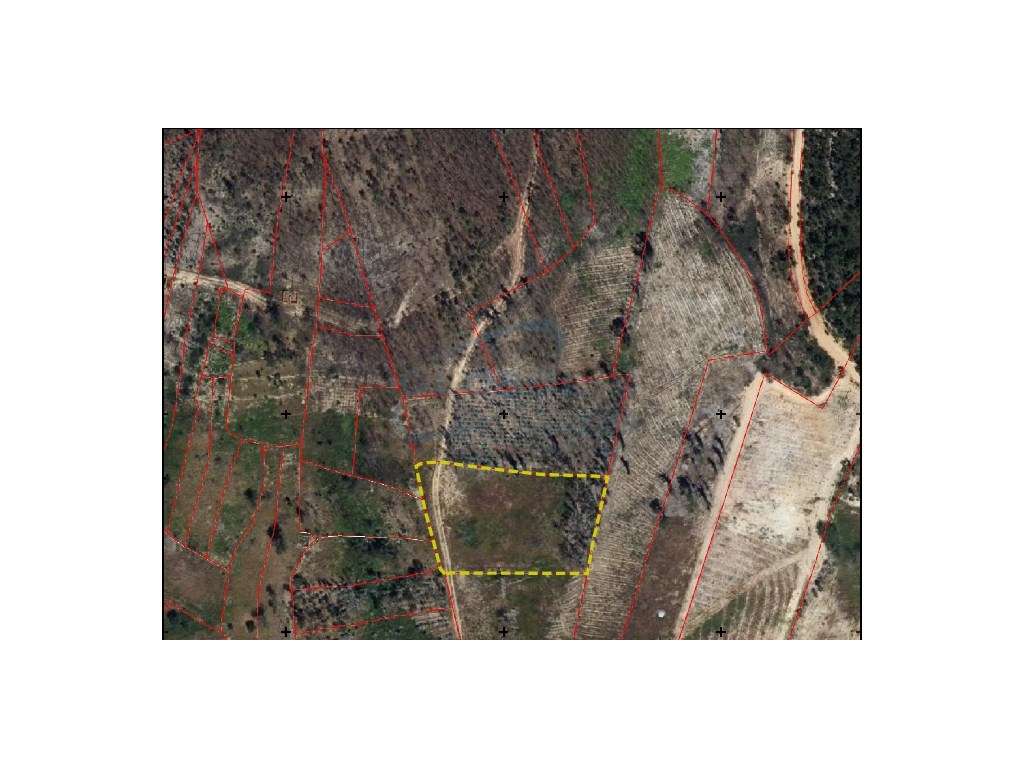 Conjunto de Terrenos Rústicos com 21.120 m² em Mação - Potencial Fl... - Grande imagem: 3/4