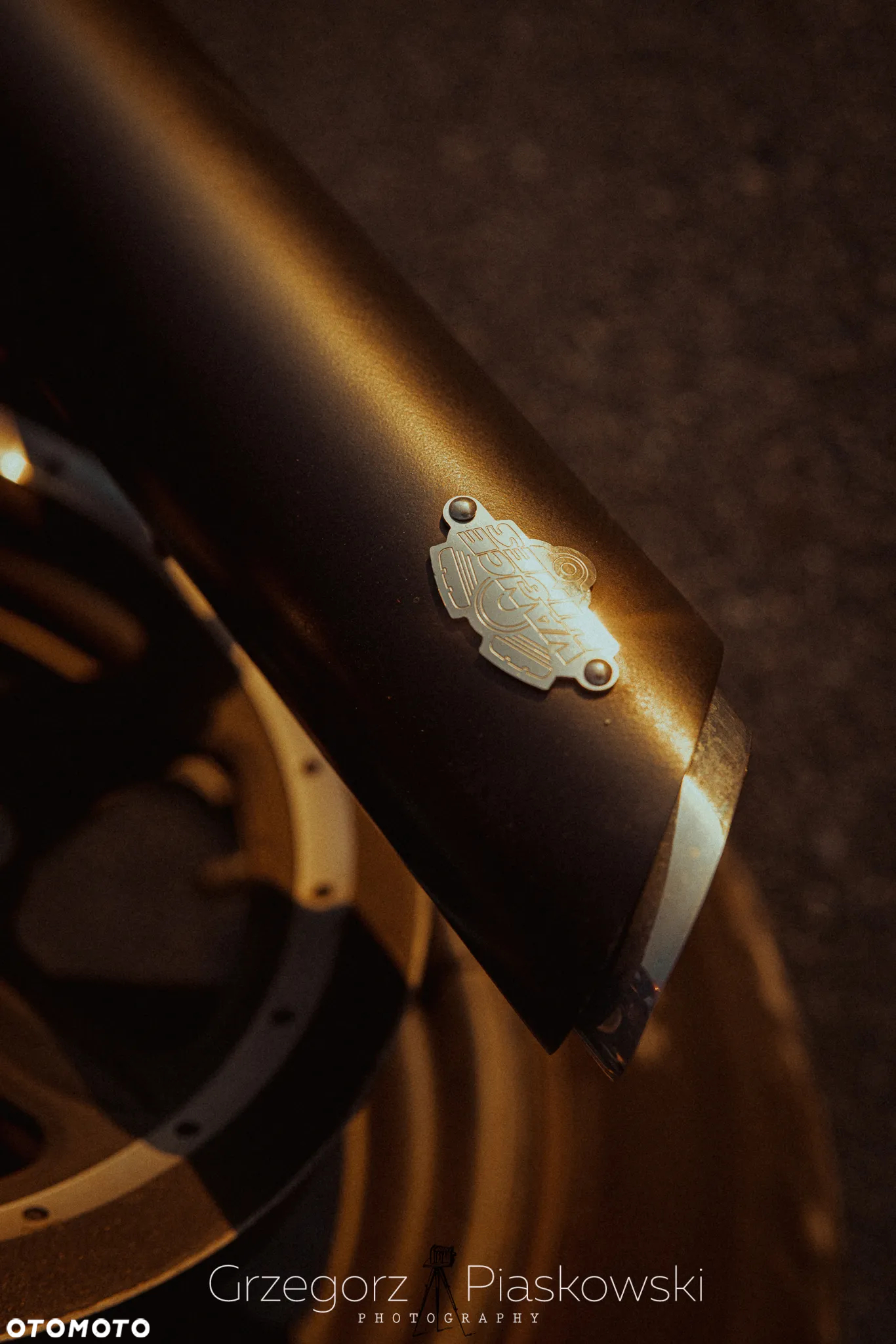 Harley-Davidson Sportster Iron 1200 - 3