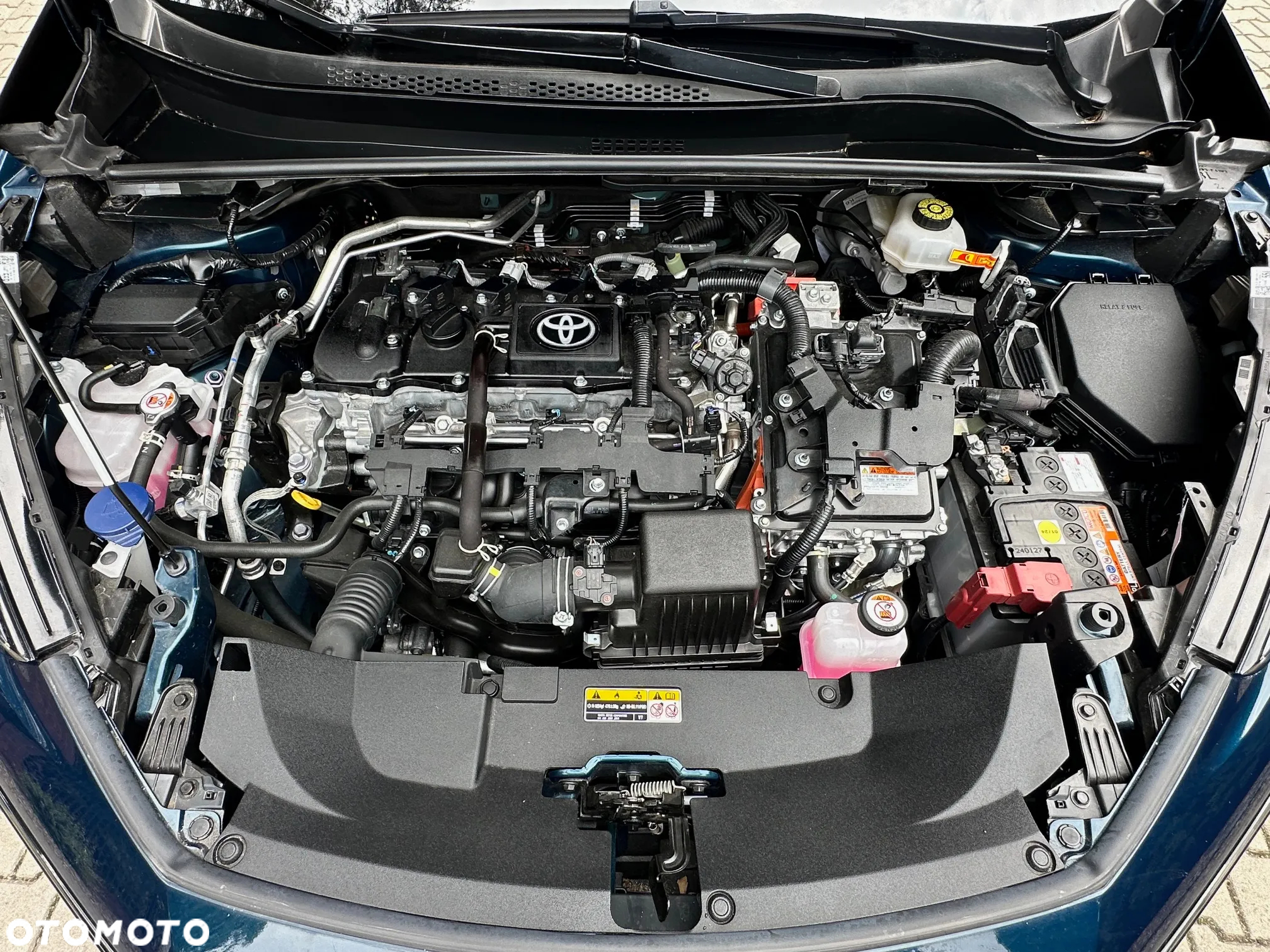 Toyota C-HR 1.8 Hybrid Team Deutschland - 14