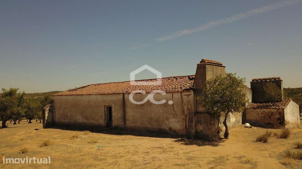 Quinta em ruínas na Vila de Frades - Grande imagem: 3/36