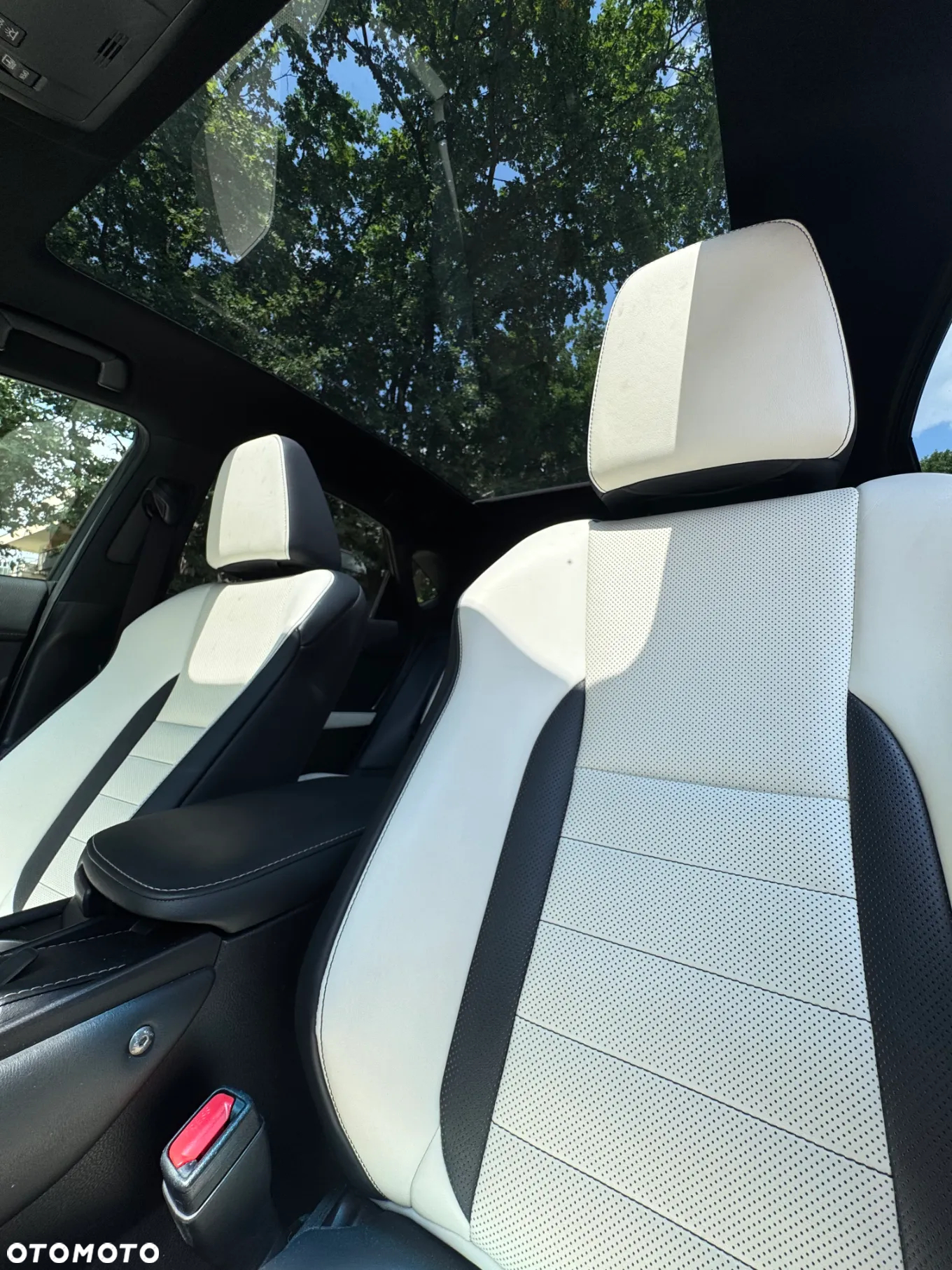 Lexus NX 300h F Sport AWD - 9