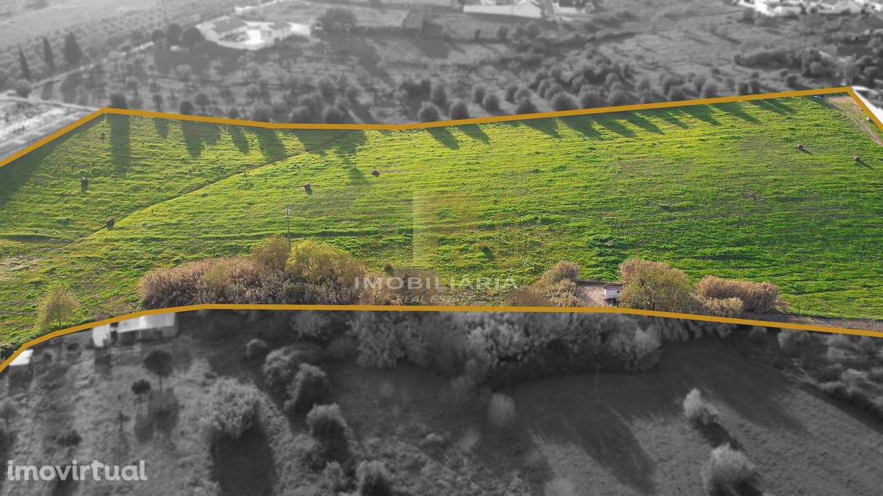 Terreno  Venda em São Vicente do Paul e Vale de Figueira,Santarém - Grande imagem: 4/4