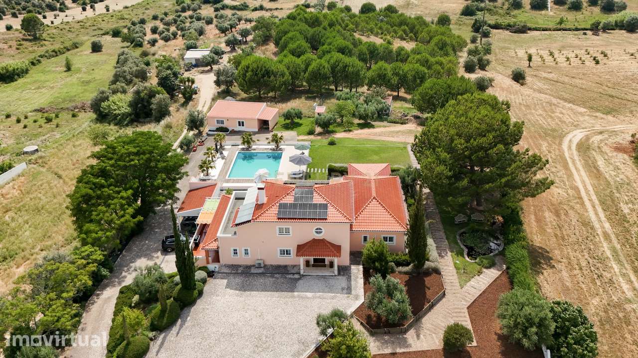 Propriedade Única com Piscina, Lago e Produção de Azeite - Grande imagem: 5/57