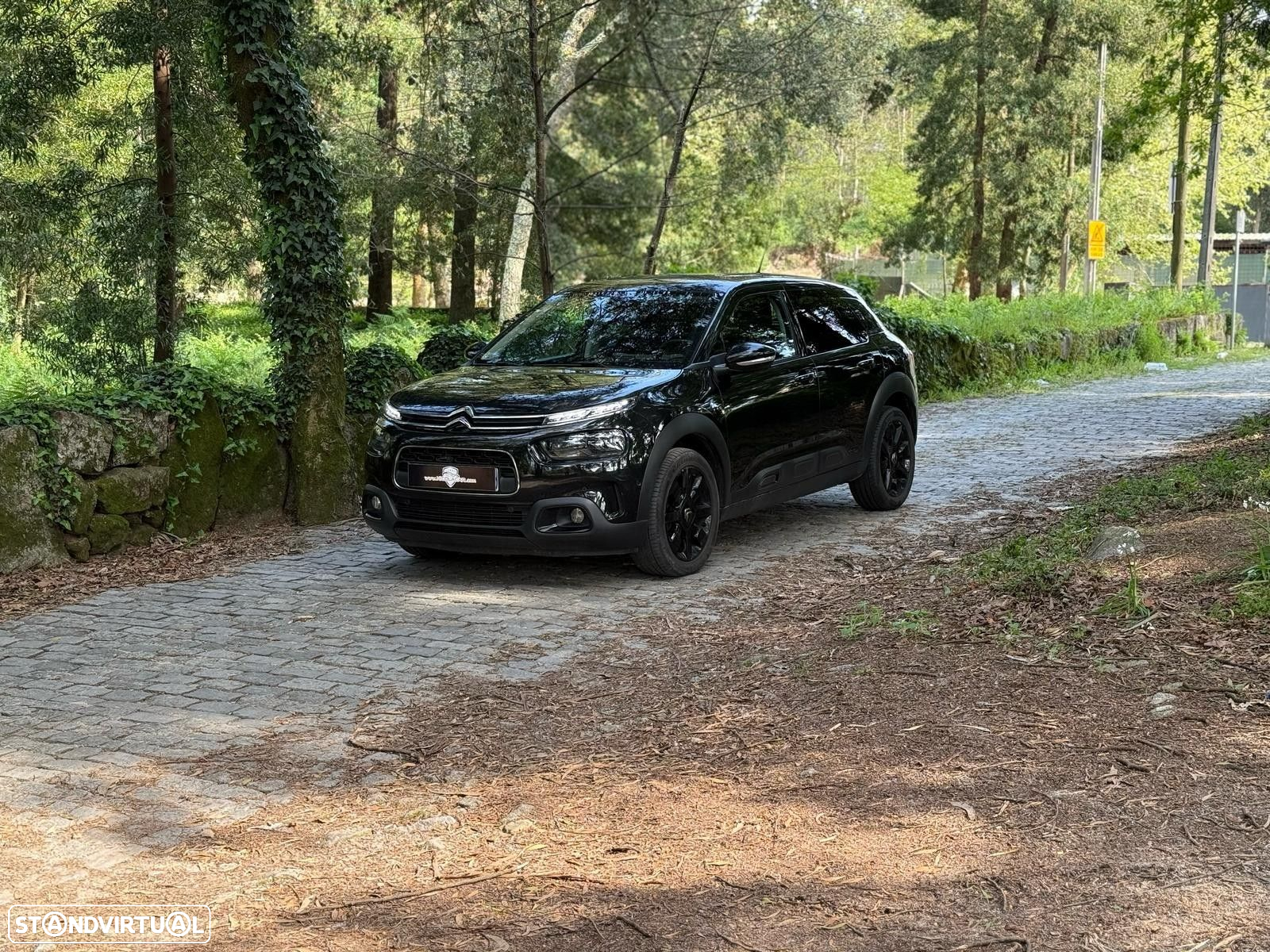 Citroën C4 Cactus 1.2 PureTech Feel - 23
