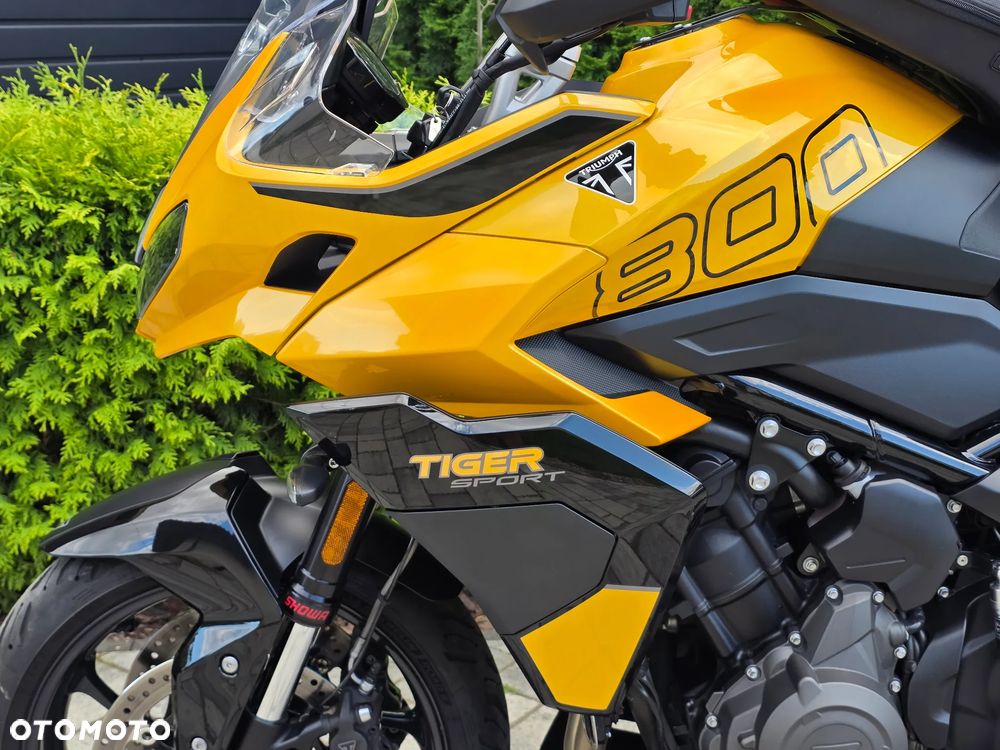 Triumph Tiger - 33