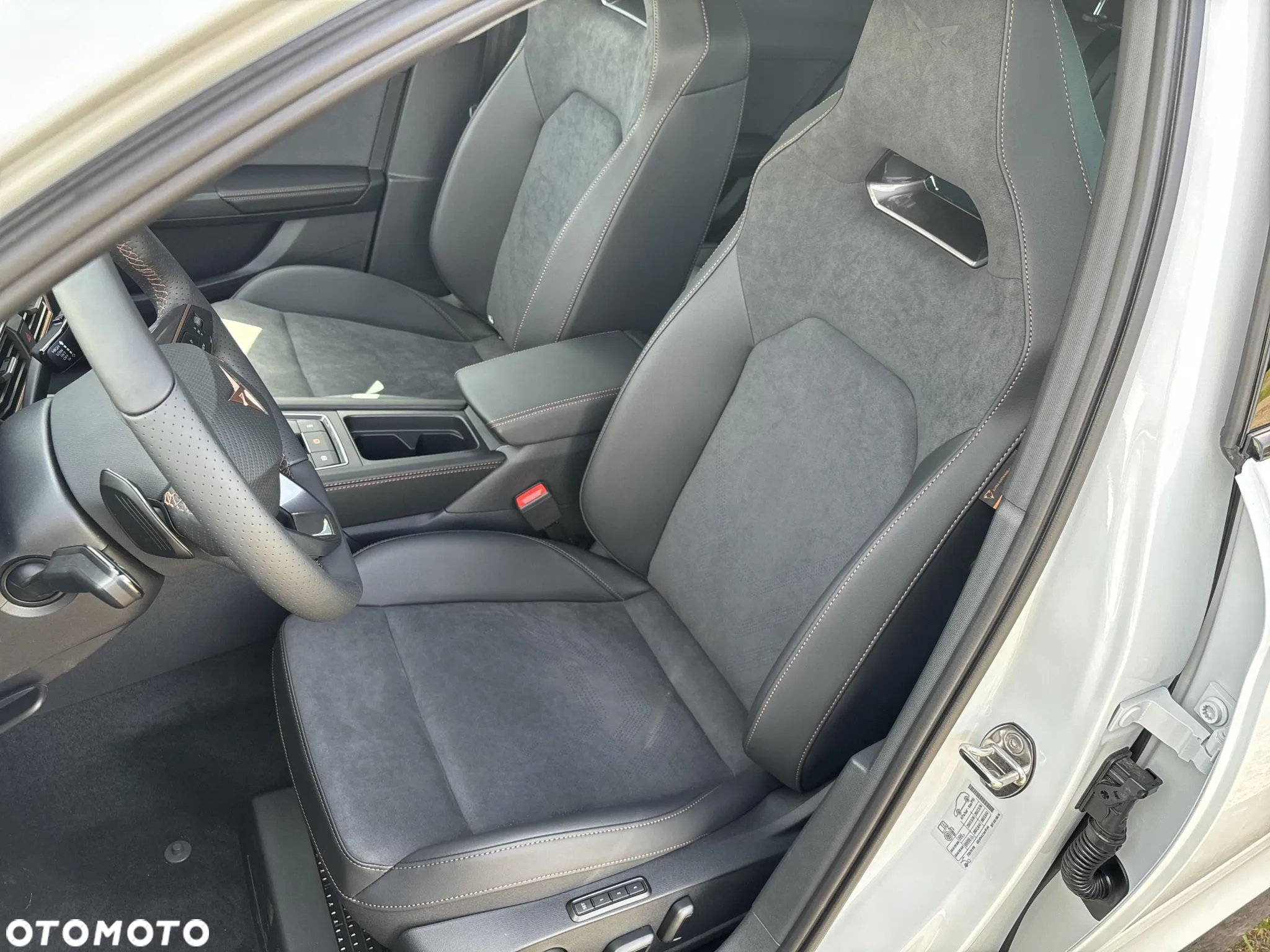 Cupra Formentor 2.0 TSI 4Drive DSG - 19