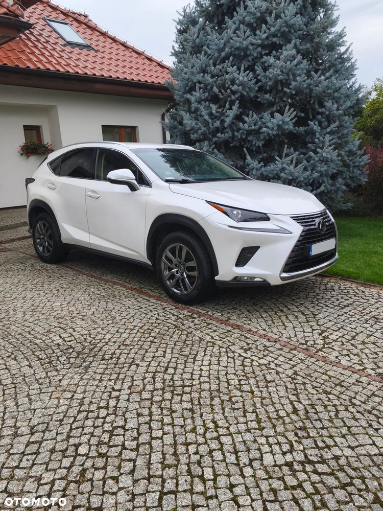 Lexus NX 300 GPF Comfort AWD - 2