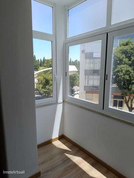 Apartamento Lisboa - Benfica - Grande imagem: 5/12