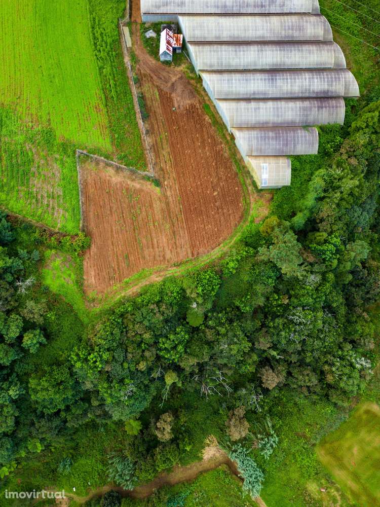 Terreno Rustico- Ideal para Projeto de Investimento - Grande imagem: 4/15