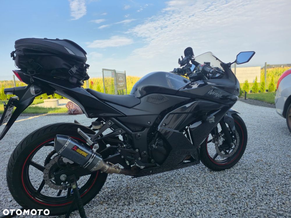 Kawasaki Ninja 250R - 4