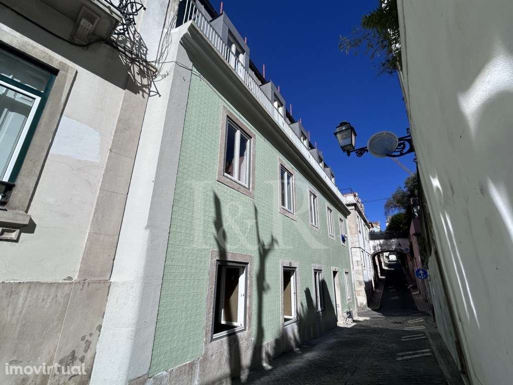 Mt Premier Laurel Príncipe Real - Grande imagem: 4/19