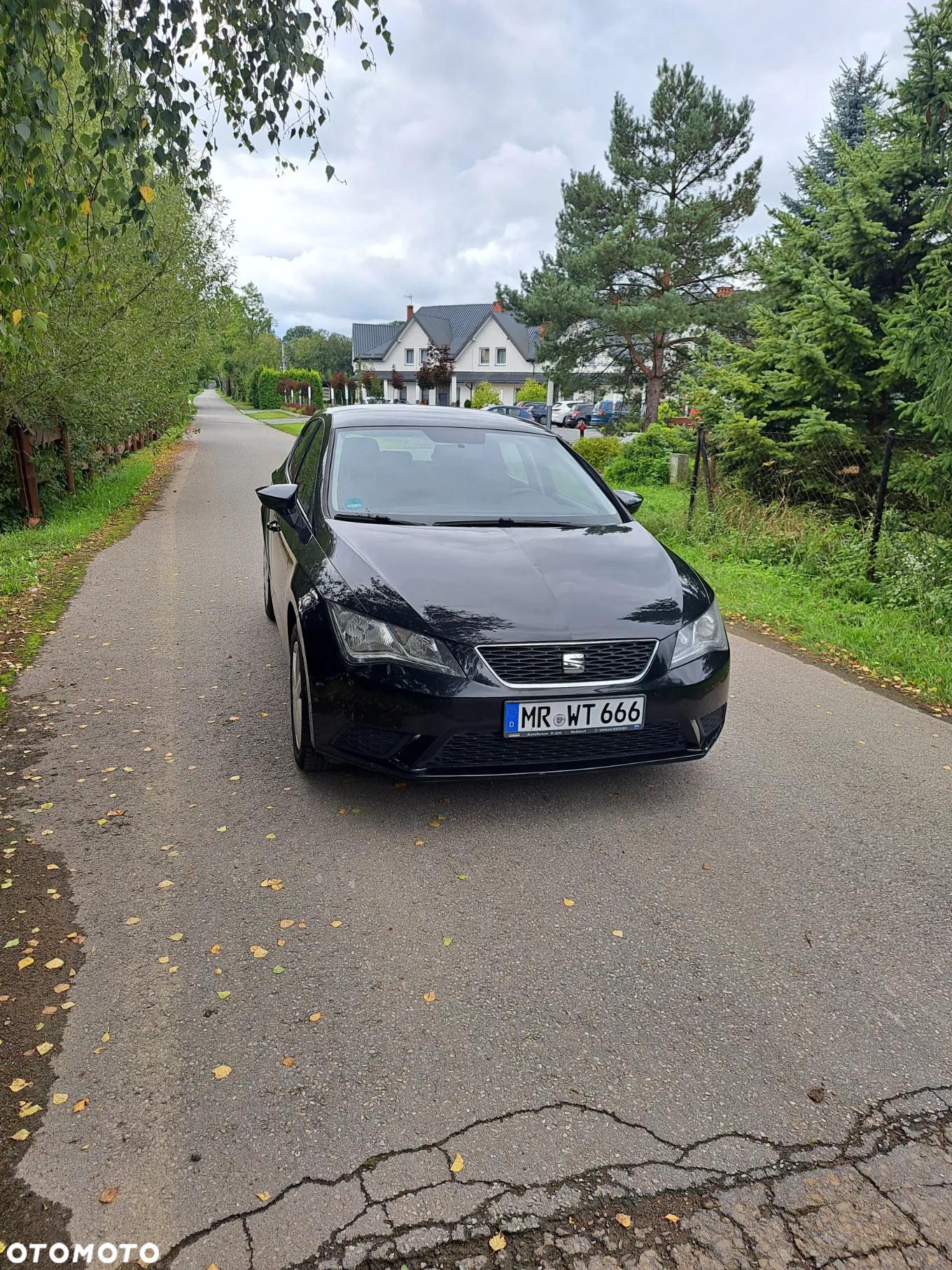 Seat Leon - 6