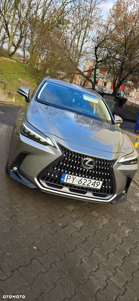 Lexus NX 350h Prestige AWD - 3