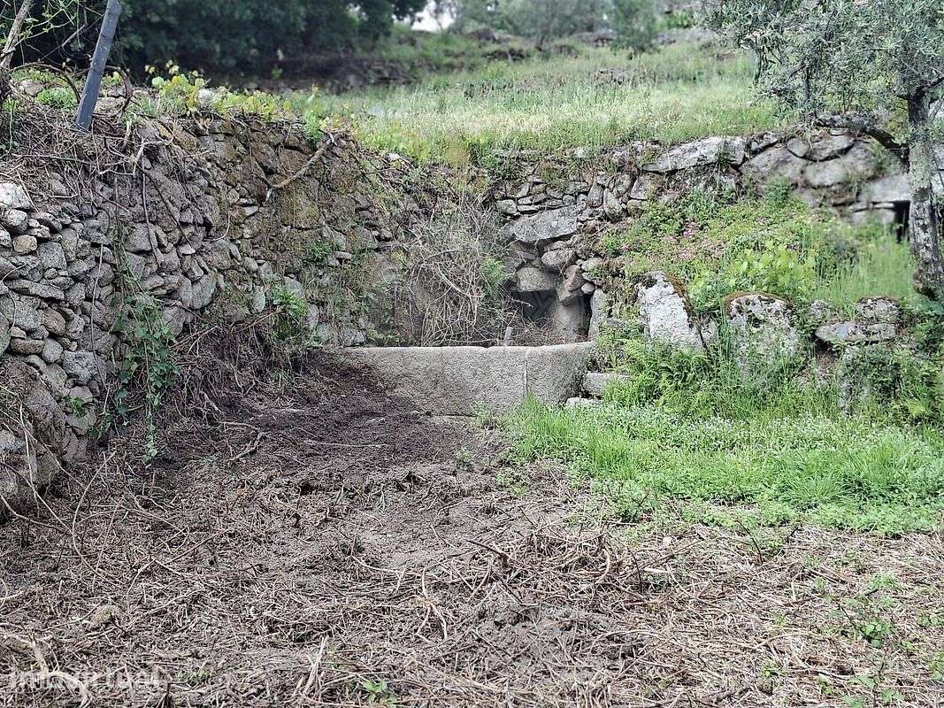 Quinta  para venda - Grande imagem: 5/14