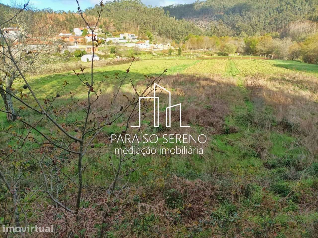 Terreno em Ossela - Grande imagem: 2/5